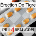 Érection De Tigre cialis3